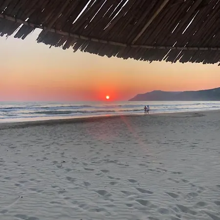 Rezidenca Primavera *