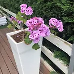 Rezidenca Primavera Durrës