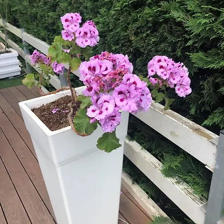 Rezidenca Primavera Durrës