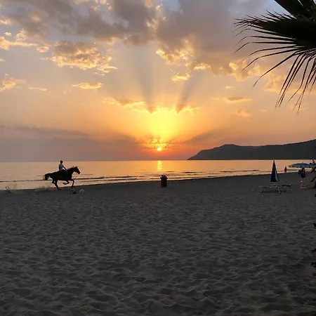 Rezidenca Primavera Lägenhet Durrës