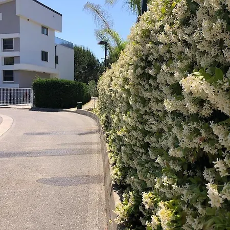 Rezidenca Primavera *