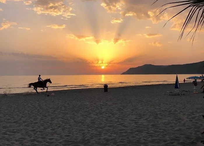 Rezidenca Primavera Lägenhet Durrës